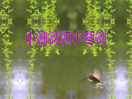 《小柳树和小枣树》PPT教学课件下载