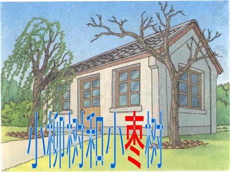 《小柳树和小枣树》PPT教学课件下载2