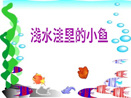 《浅水洼里的小鱼》PPT教学课件下载