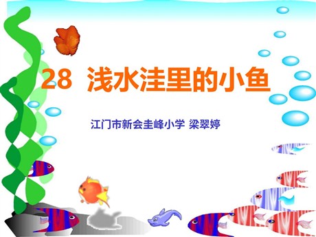 《浅水洼里的小鱼》PPT教学课件下载2