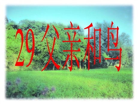 《父亲和鸟》PPT教学课件下载3