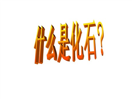 《活化石》PPT教学课件下载