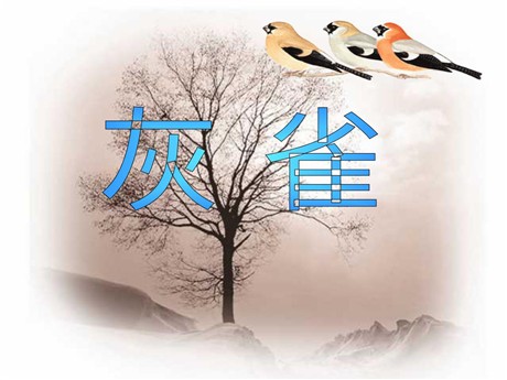 《灰雀》PPT教学课件下载