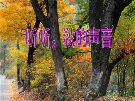 《听听，秋的声音》PPT教学课件下载