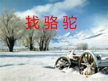 《找骆驼》PPT教学课件下载3