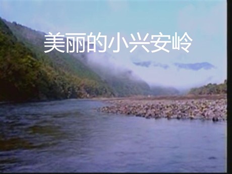 《美丽的小兴安岭》PPT教学课件下载