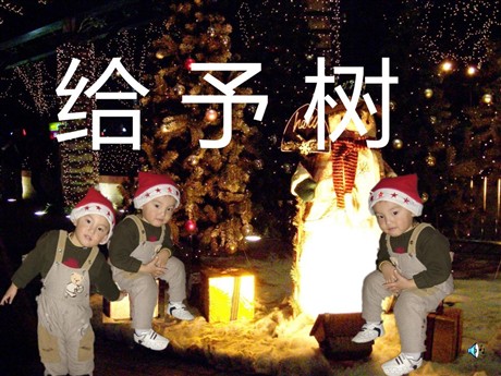 《给予树》PPT教学课件下载2