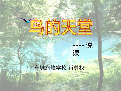 《鸟的天堂》PPT教学课件下载3