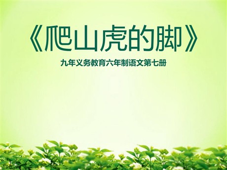 《爬山虎的脚》PPT教学课件下载
