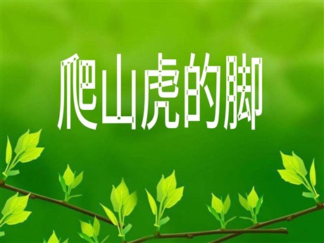 《爬山虎的脚》PPT教学课件下载2