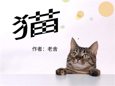 《猫》PPT课件下载