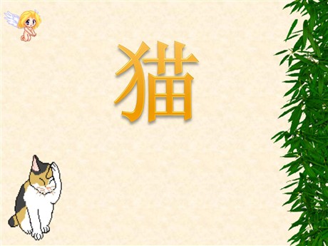 《猫》PPT课件下载2