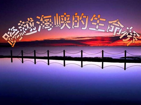《跨越海峡的生命桥》PPT课件下载4