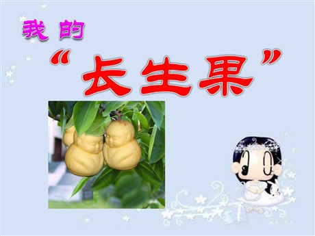 《我的“长生果”》PPT课件下载2