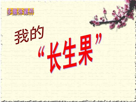 《我的“长生果”》PPT课件下载4