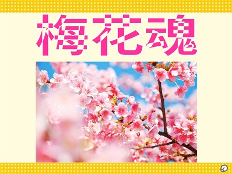 《梅花魂》PPT课件下载2