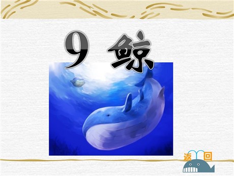 《鲸》PPT课件下载