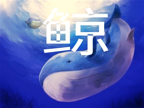 《鲸》PPT课件下载2