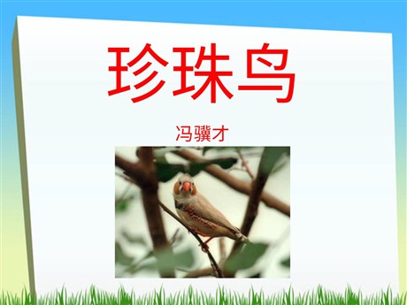 《珍珠鸟》PPT课件下载2