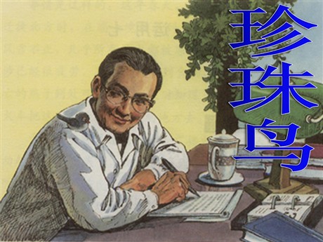 《珍珠鸟》PPT课件下载3