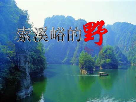 《索溪峪的“野”》PPT课件下载