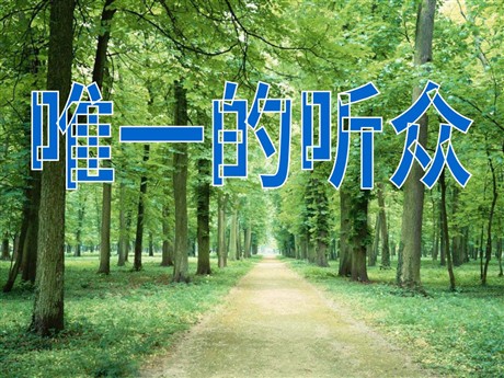 《唯一的听众》PPT课件下载3