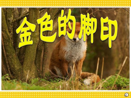 《金色的脚印》PPT课件下载2