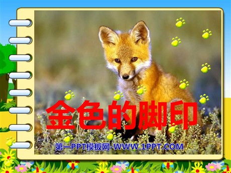 《金色的脚印》PPT课件下载4