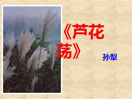 《芦花荡》PPT课件2