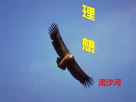《理想》PPT课件2