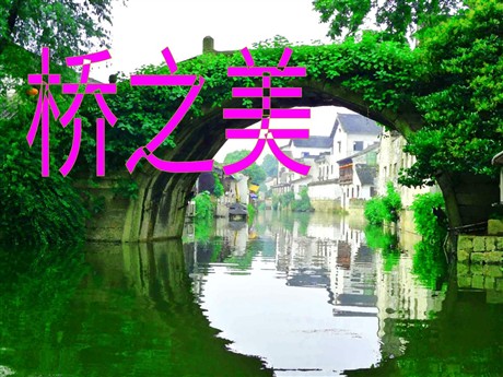 《桥之美》PPT课件2