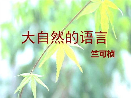 《大自然的语言》PPT课件2