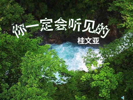 《你一定会听见的》PPT课件2