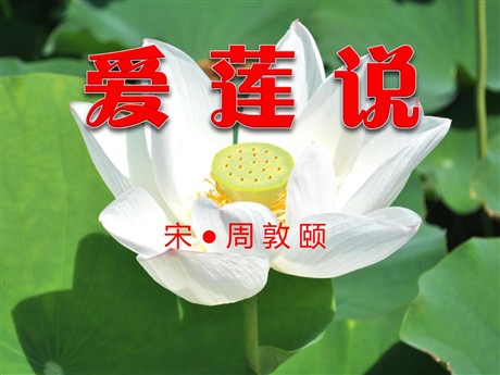 《爱莲说》PPT课件2
