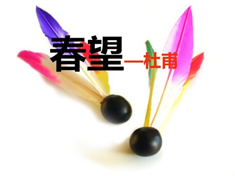 《春望》PPT课件