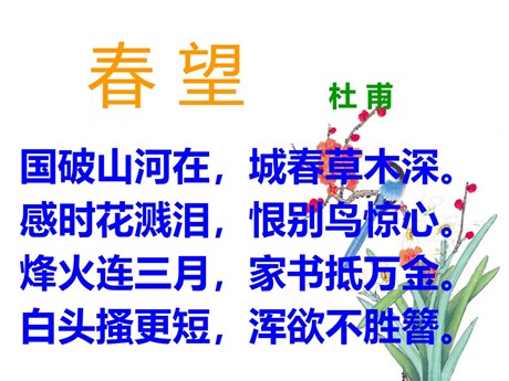 《春望》PPT课件2