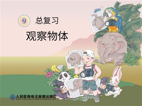 《观察物体》总复习PPT课件