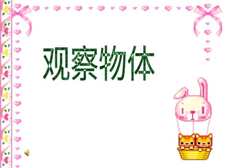 《观察物体》PPT课件3