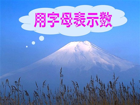 《用字母表示数》简易方程PPT课件2