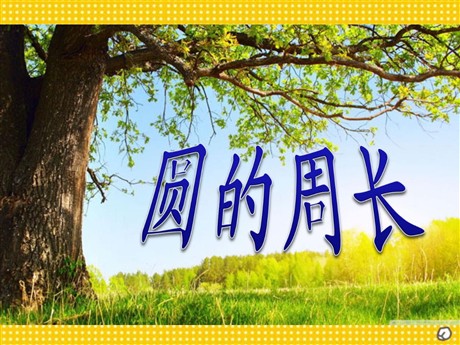 《圆的周长》PPT课件