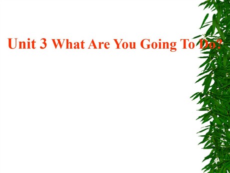 《Unit3 What Are You Going To Do?》第四课时PPT课件