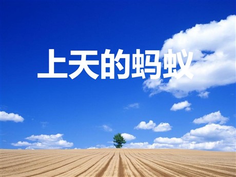 《上天的蚂蚁》PPT课件