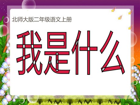 《我是什么》PPT课件