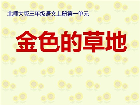 《金色的草地》PPT课件2