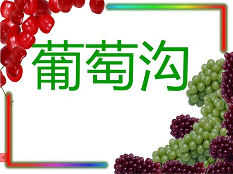 《葡萄沟》PPT课件
