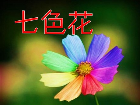 《七色花》PPT课件