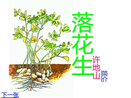 《落花生》PPT课件