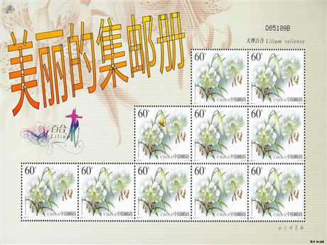 《美丽的集邮册》PPT课件2