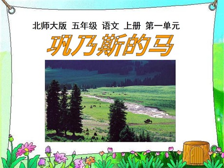 《巩乃斯的马》PPT课件2