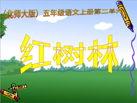 《红树林》PPT课件